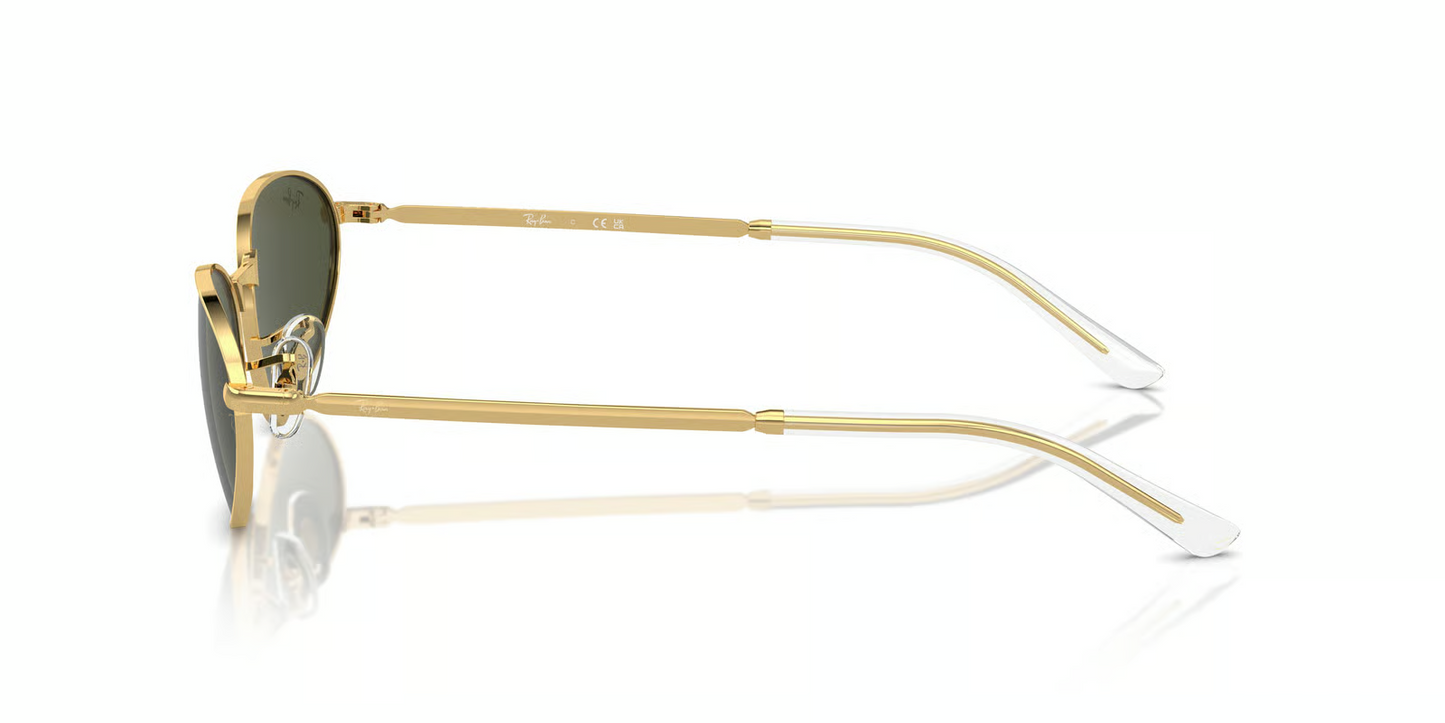 Ray-Ban RB3734 Sunglasses