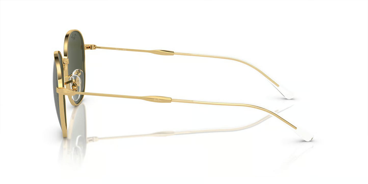 Ray-Ban RB3809 Sunglasses