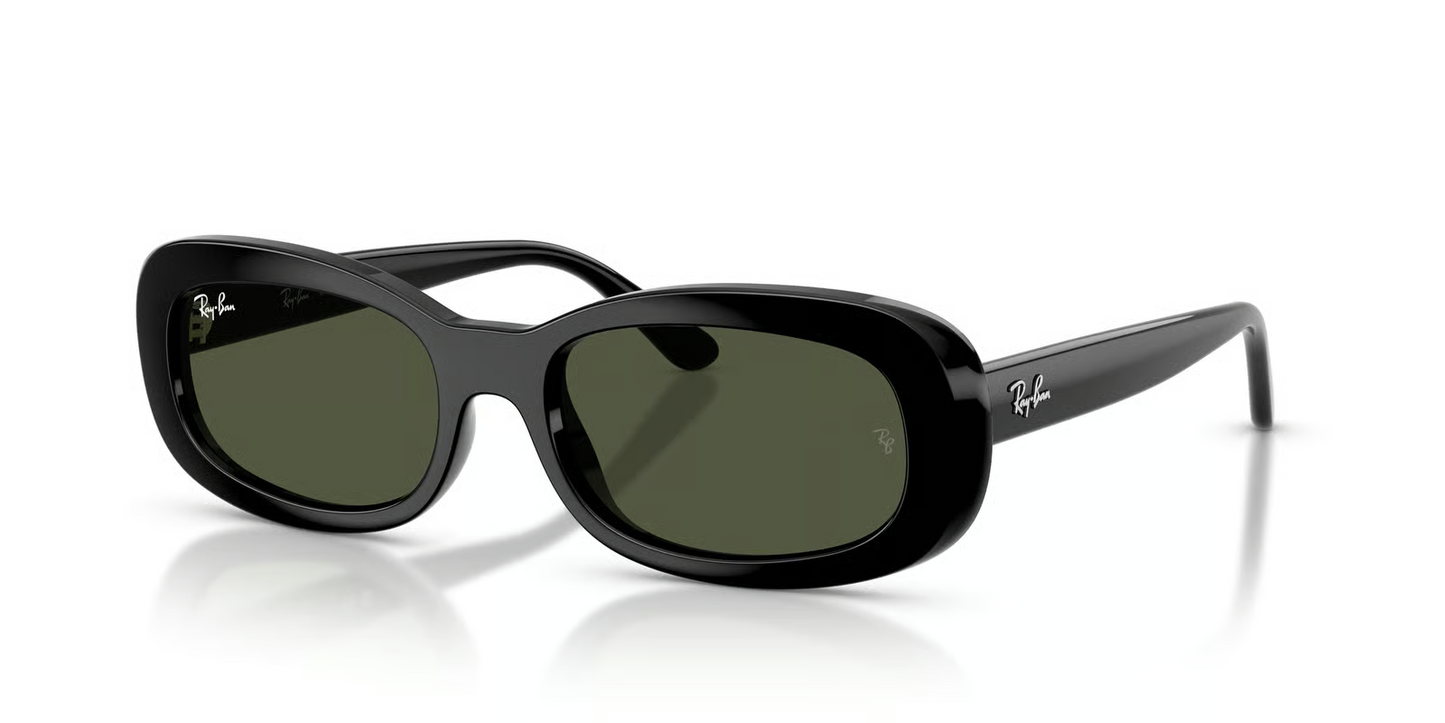 Ray-Ban RB2221F Sunglasses