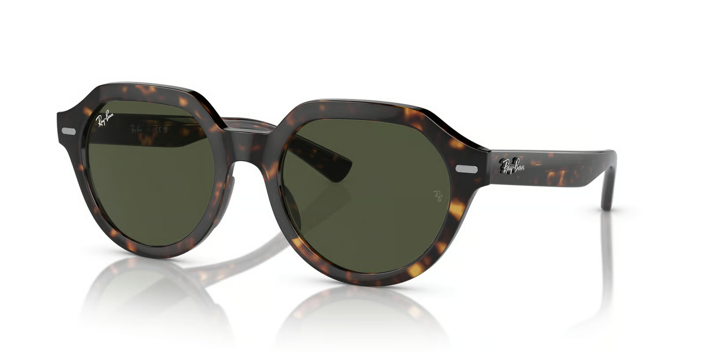 Ray-Ban RB4399 Gina Sunglasses