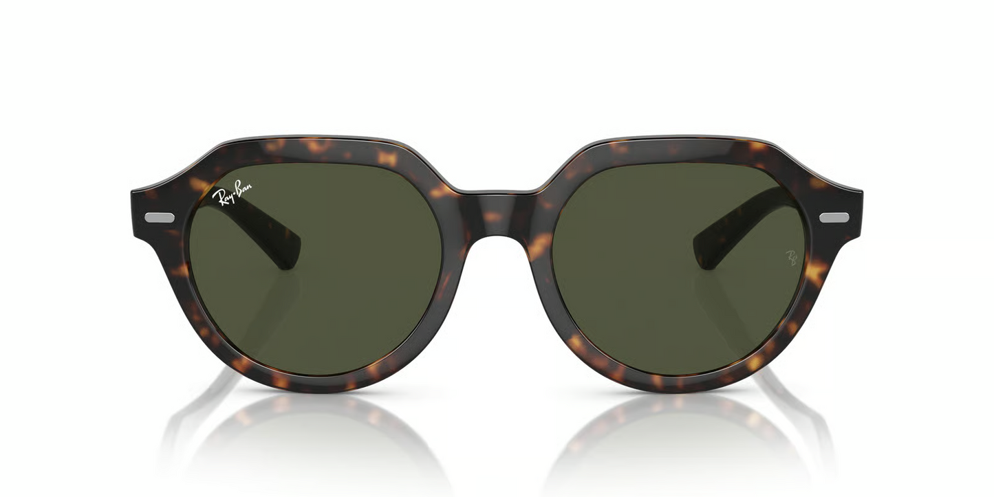 Ray-Ban RB4399 Gina Sunglasses