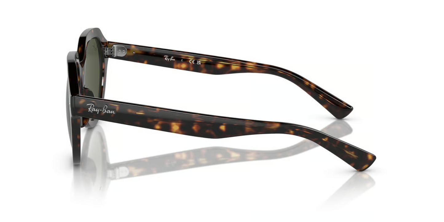 Ray-Ban RB4399 Gina Sunglasses