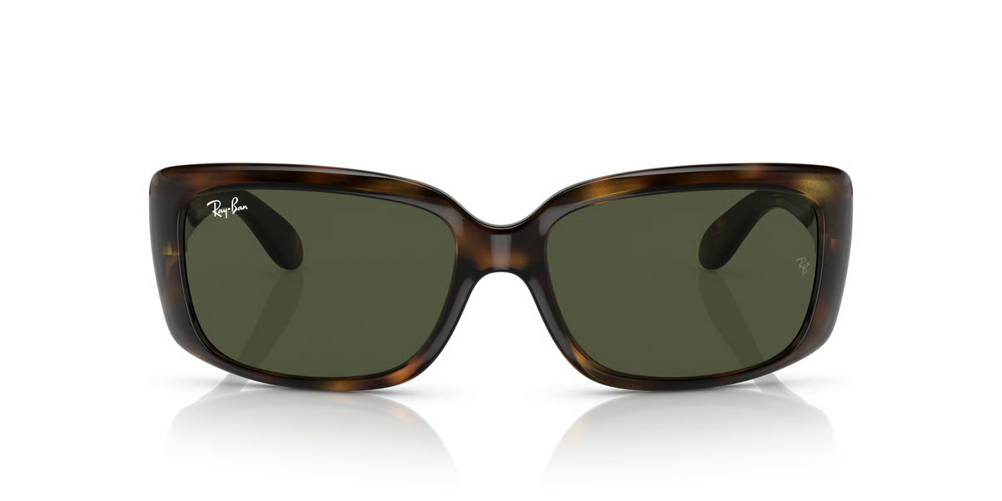 Ray-Ban RB4389 Sunglasses