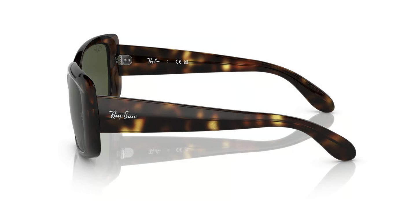 Ray-Ban RB4389 Sunglasses