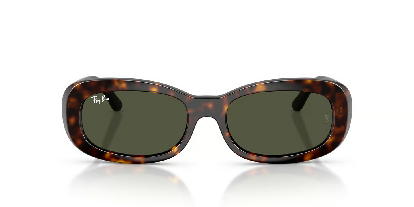 Ray-Ban RB2221F Sunglasses