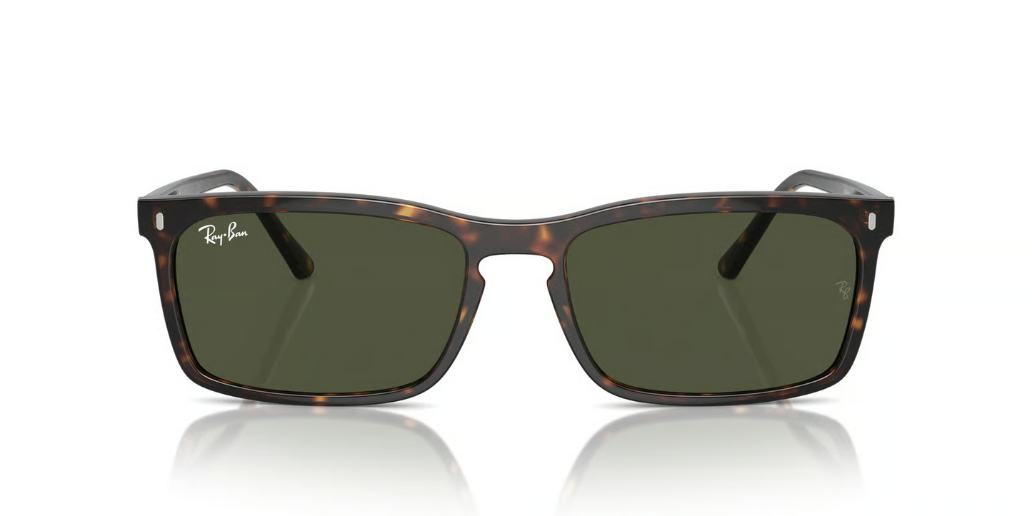 Ray-Ban RB4435 Sunglasses