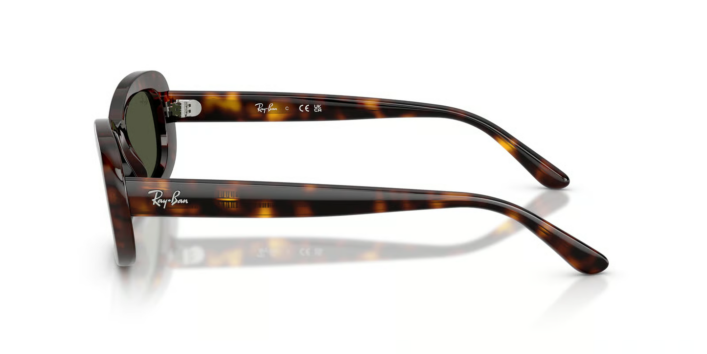 Ray-Ban RB2221F Sunglasses