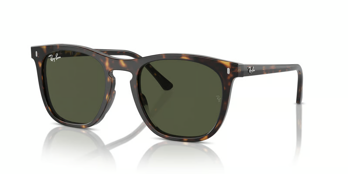 Ray-Ban RB2210F Sunglasses