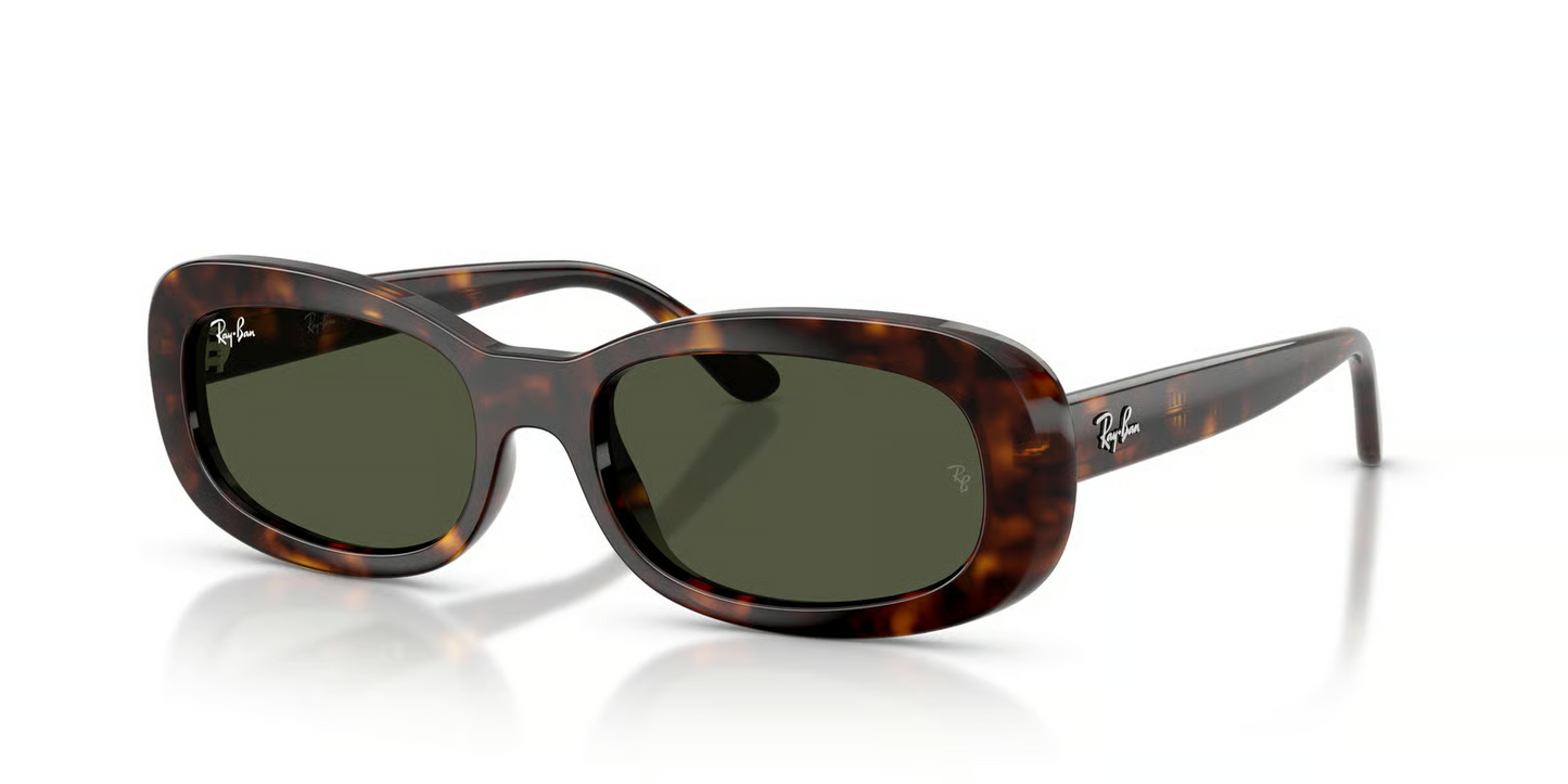 Ray-Ban RB2221F Sunglasses