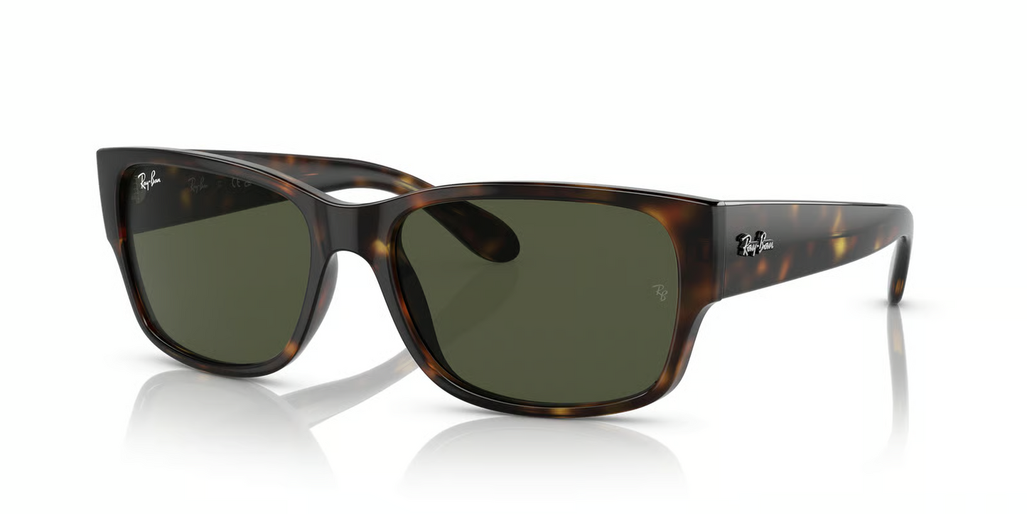 Ray-Ban RB4388 Sunglasses