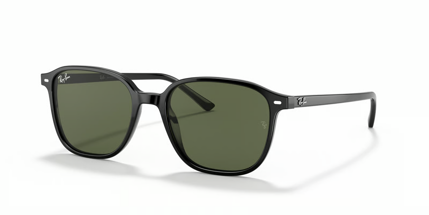 Ray-Ban RB2193 Leonard Sunglasses