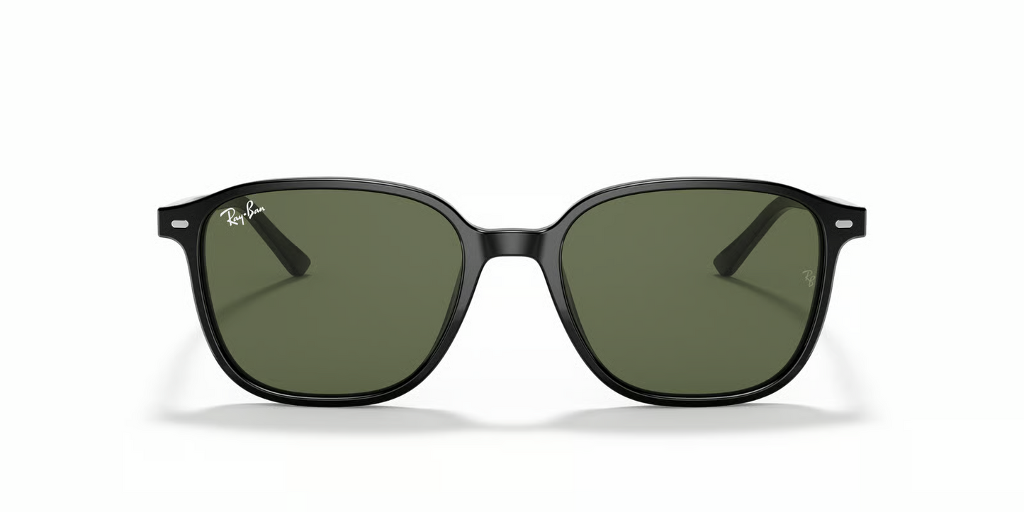 Ray-Ban RB2193 Leonard Sunglasses
