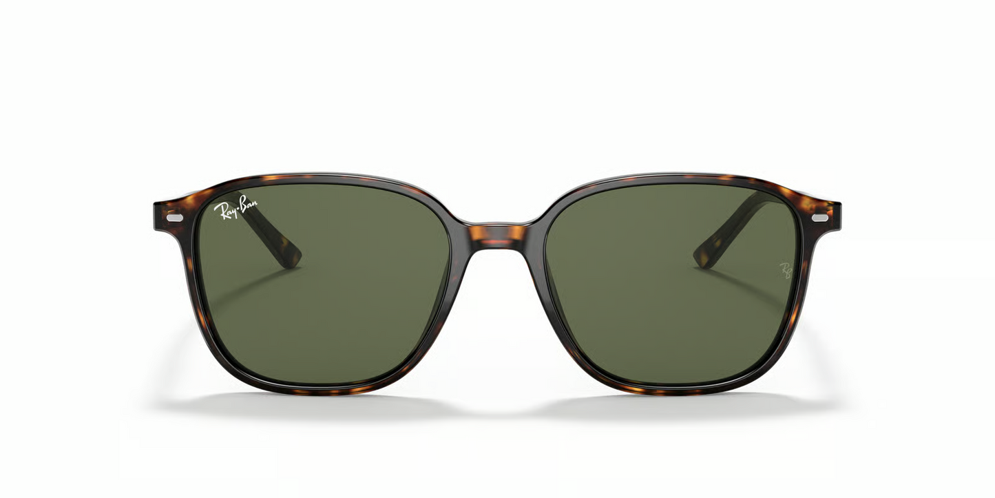 Ray-Ban RB2193 Leonard Sunglasses