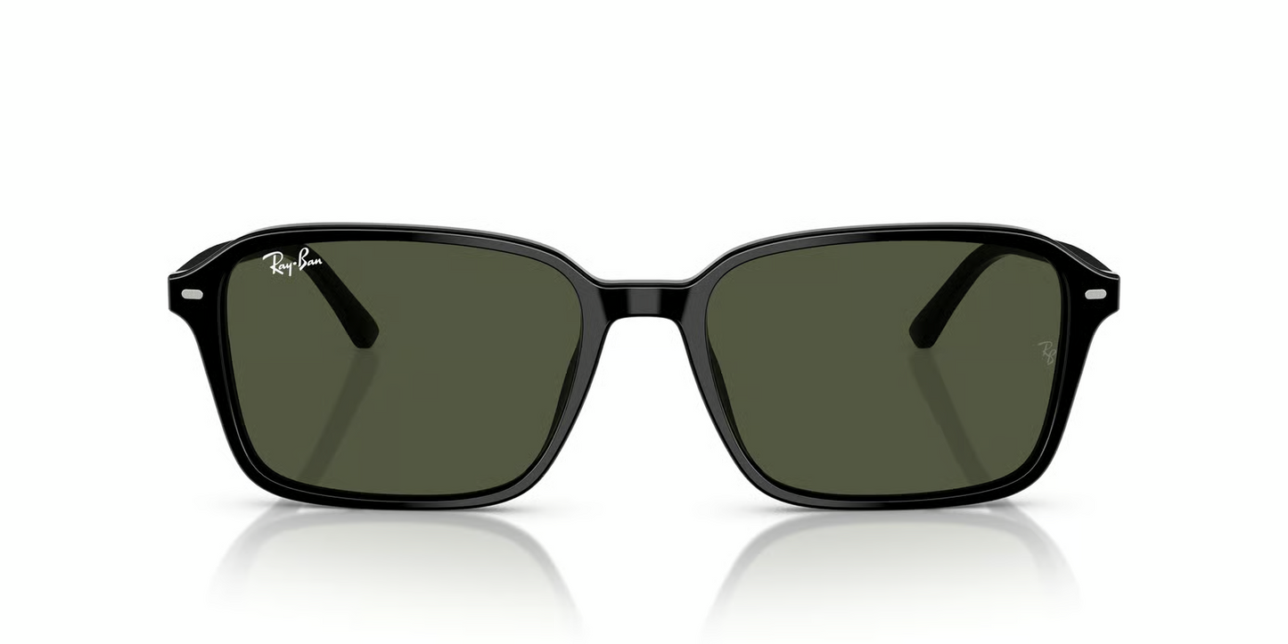 Ray-Ban RB2231F Raimond Sunglasses