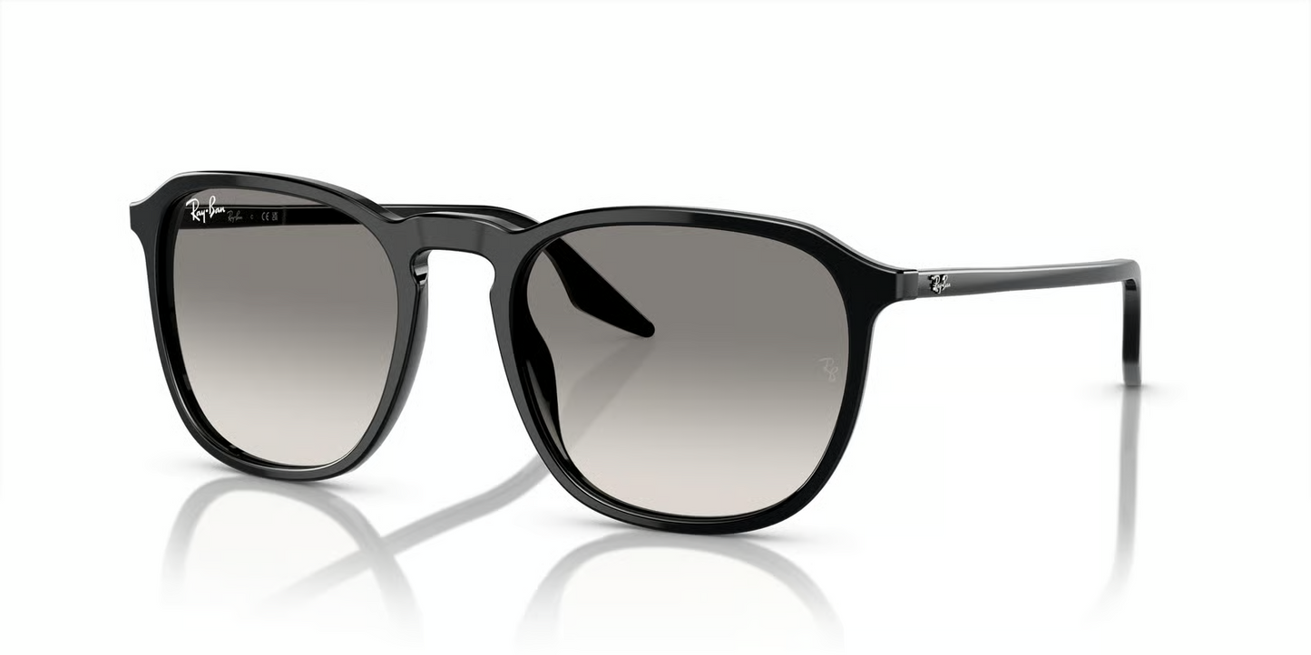 Ray-Ban RB2203F Sunglasses
