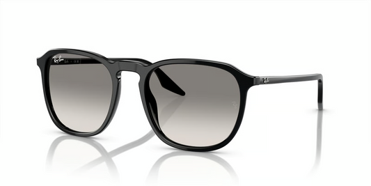 Ray-Ban RB2203F Sunglasses