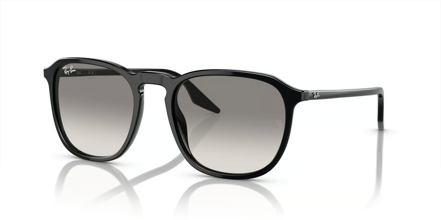 Ray-Ban RB2203 Sunglasses