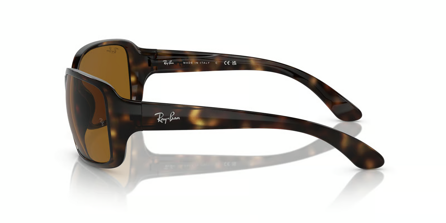 Ray-Ban RB4068 Sunglasses