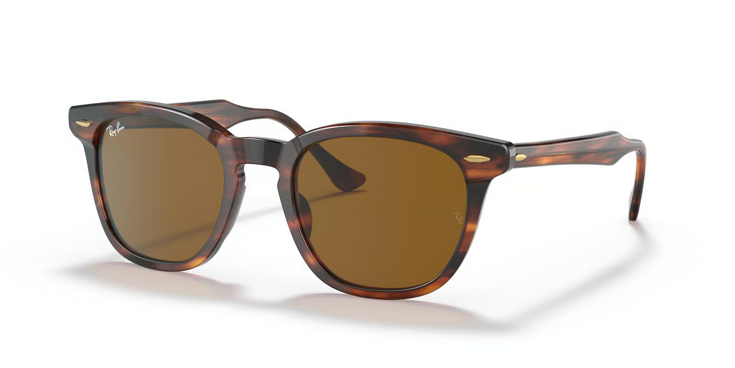 Ray-Ban RB2298 Hawkeye Sunglasses