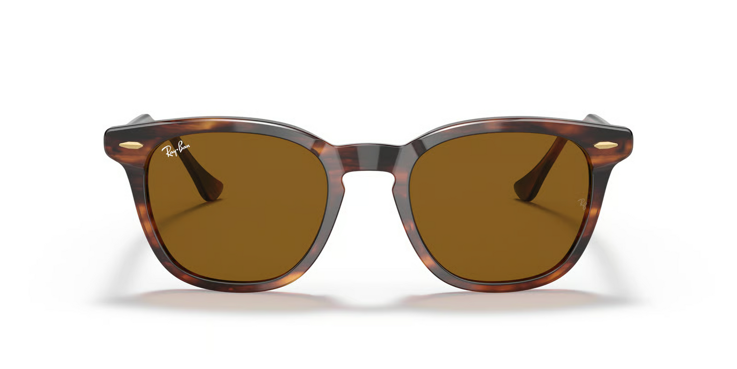 Ray-Ban RB2298 Hawkeye Sunglasses