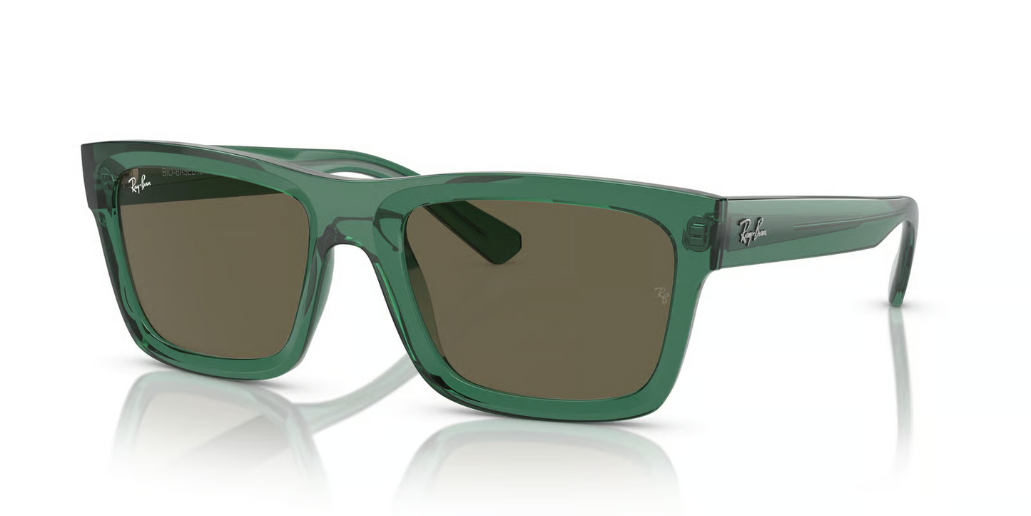Ray-Ban RB4396 Warren Sunglasses