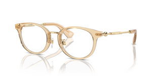 4063 - Brown with Clear Lenses
