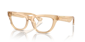 4063 - Brown with Clear Lenses
