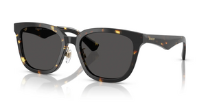 410687 - Dark Havana with Dark Grey Lenses