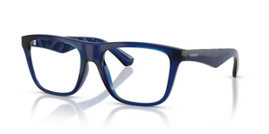 4110 - Blue with Clear Lenses