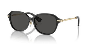 411287 - Dark Grey with Dark Grey Lenses