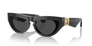 411287 - Dark Grey with Dark Grey Lenses