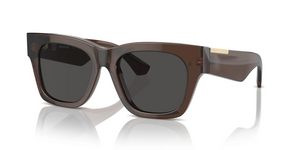 411687 - Brown with Dark Grey Lenses