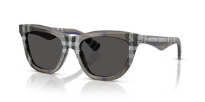 414787 - Check Lichen with Dark Grey Lenses