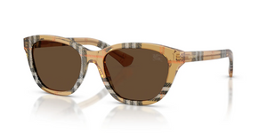 416373 - Check Sand with Dark Brown Lenses