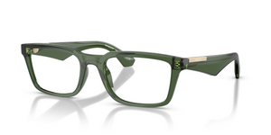 4174 - Green with Clear Lenses