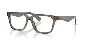 4242 - Grey with Clear Lenses