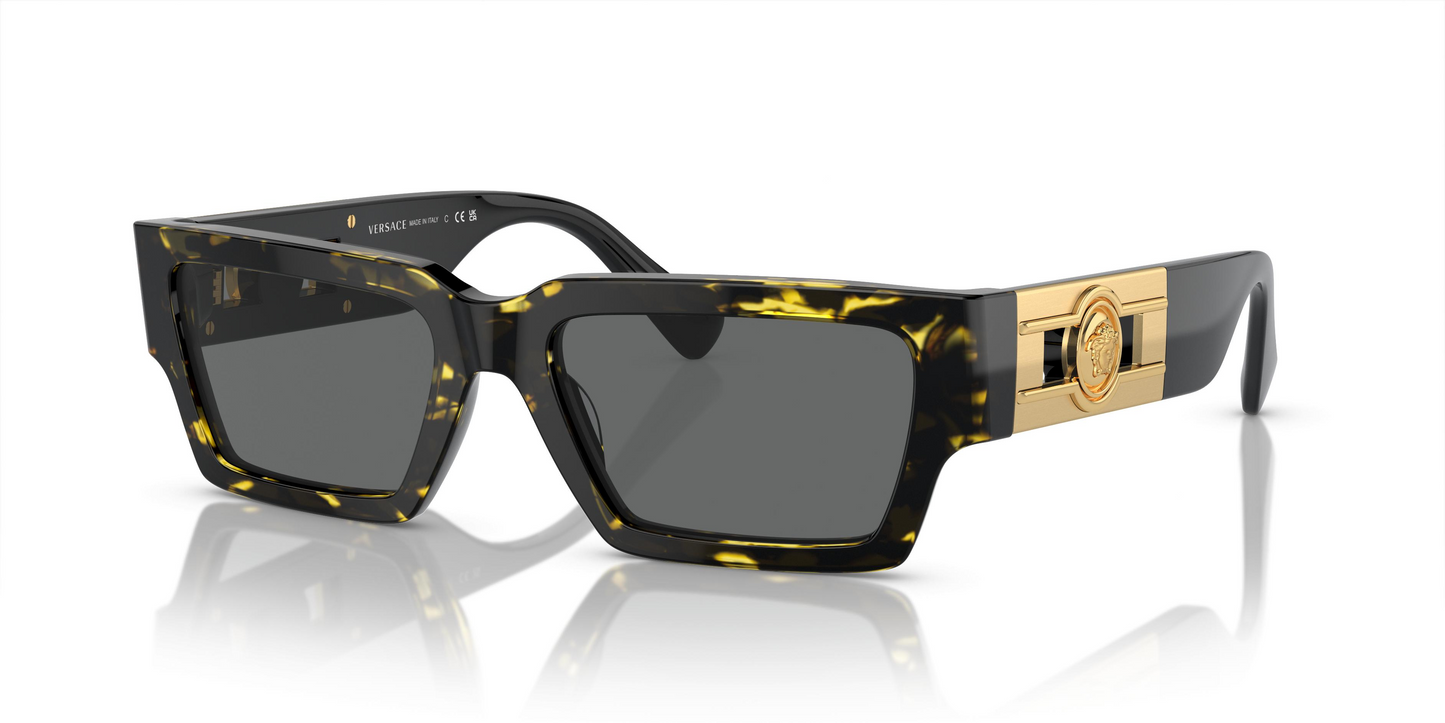 Versace VE4459 Sunglasses