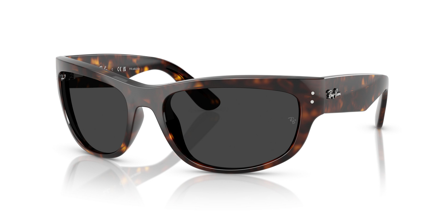 Ray-Ban RB2289 Mega Balorama Sunglasses