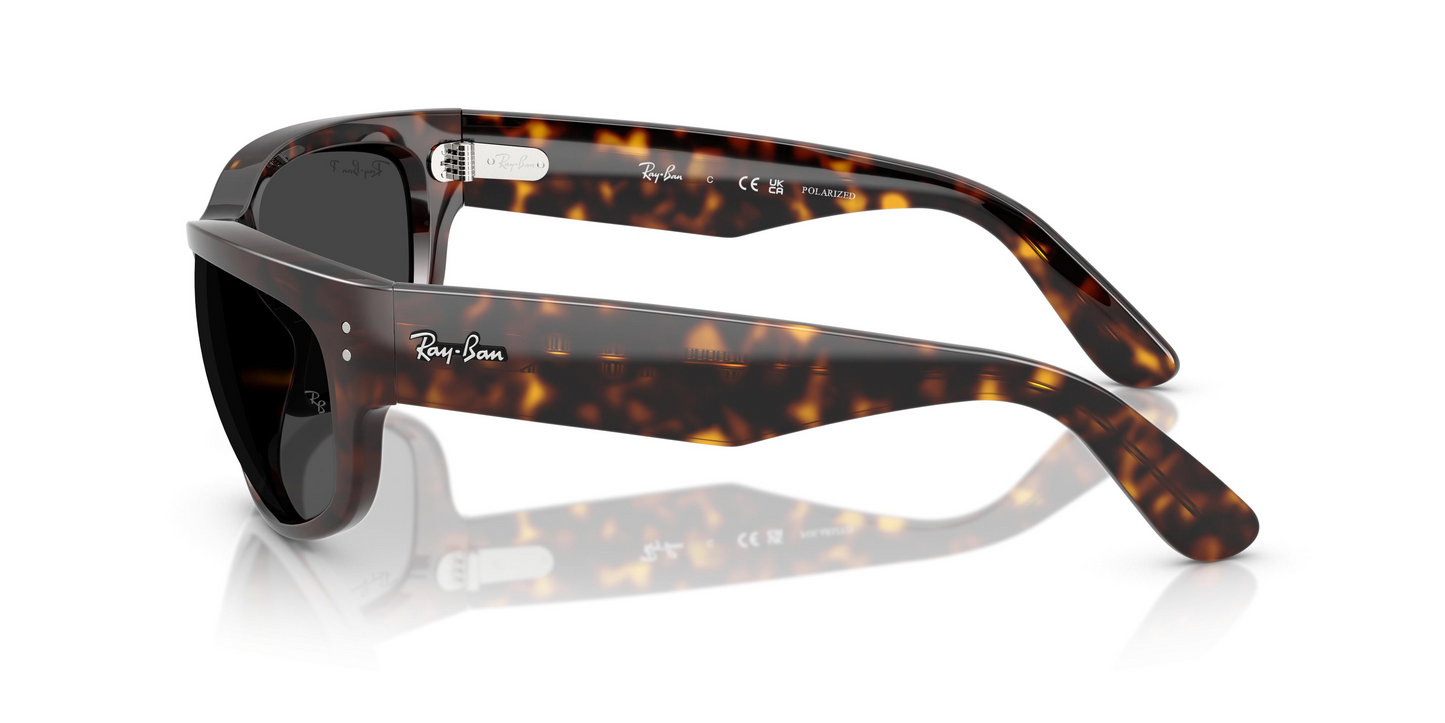 Ray-Ban RB2289 Mega Balorama Sunglasses