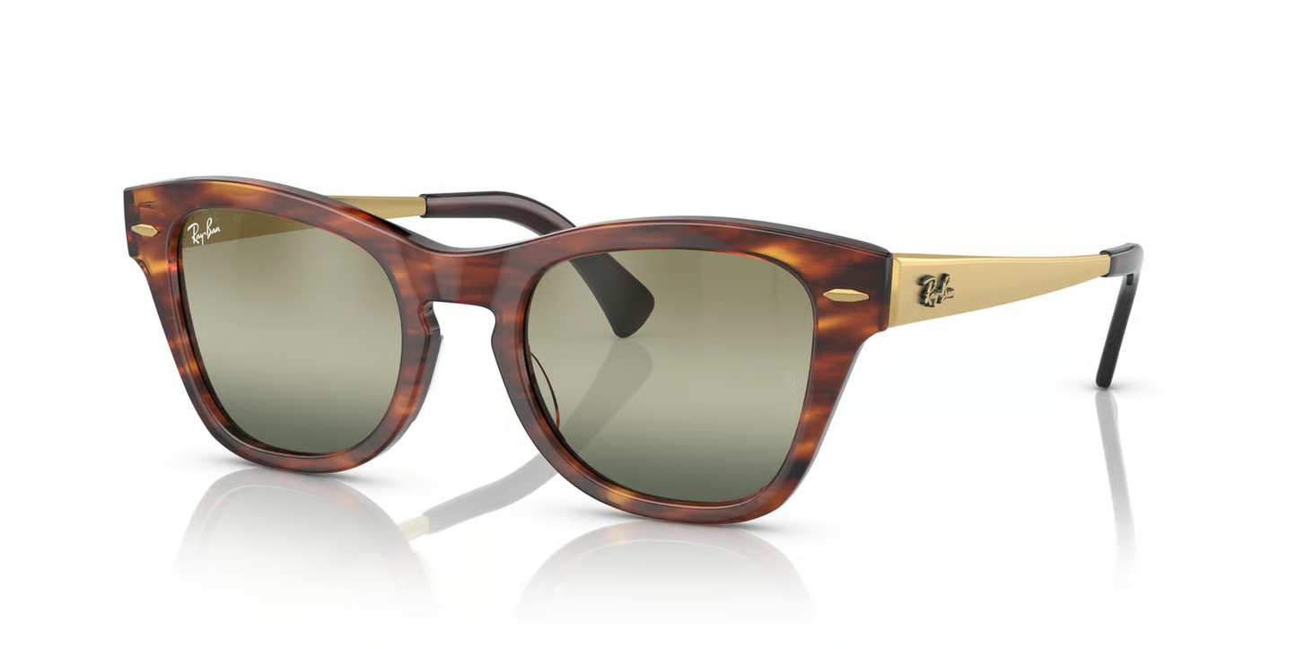 Ray-Ban RB0707SM Sunglasses