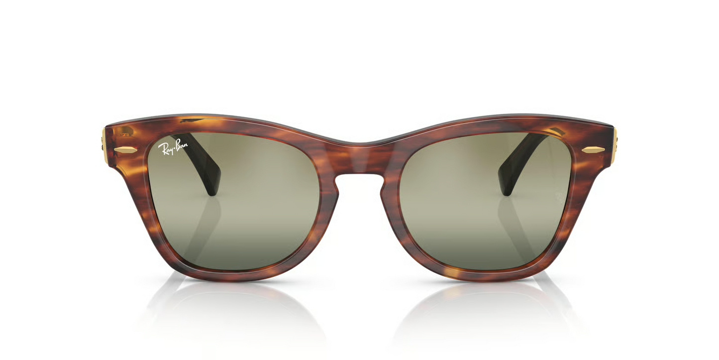 Ray-Ban RB0707SM Sunglasses
