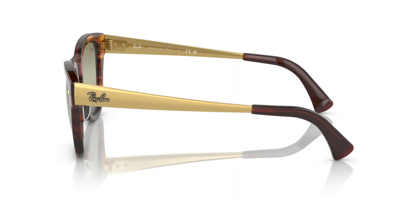 Ray-Ban RB0707SM Sunglasses