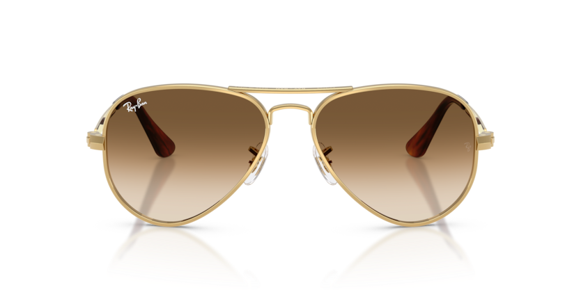 Ray-Ban RB3925 Aviator Max Sunglasses