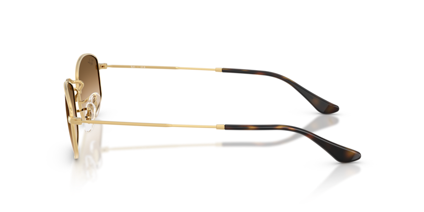 Ray-Ban RB3832 Sunglasses