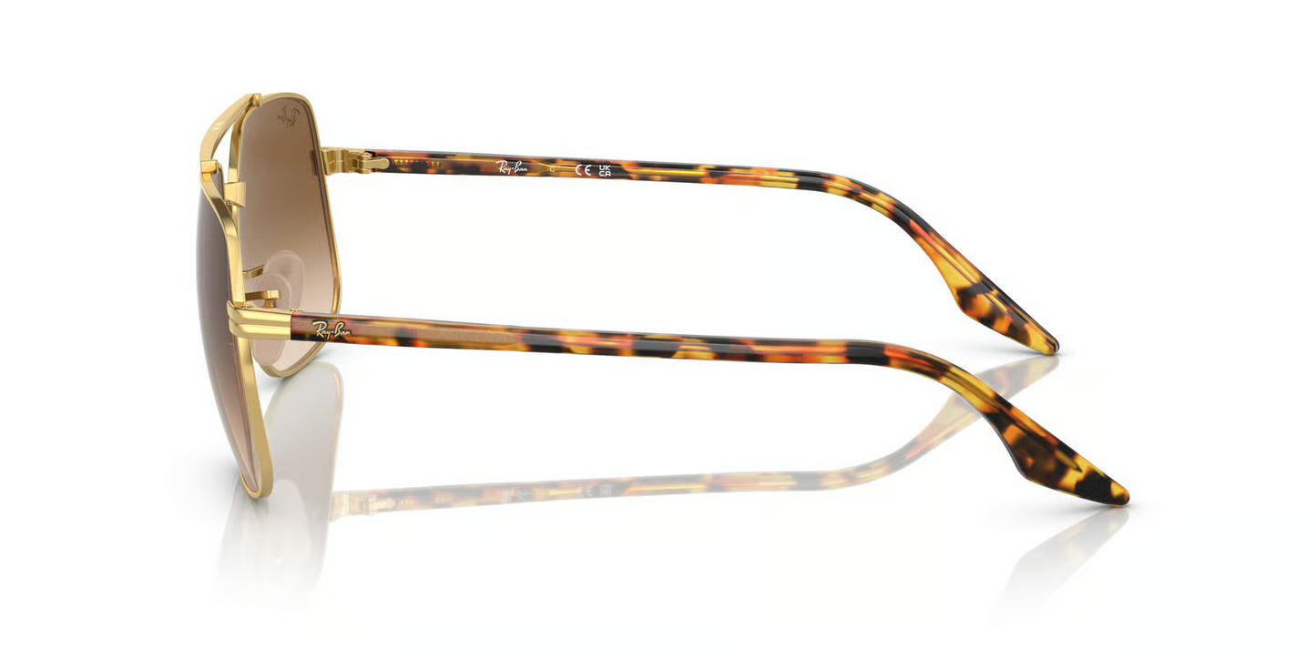 Ray-Ban RB3699 Sunglasses