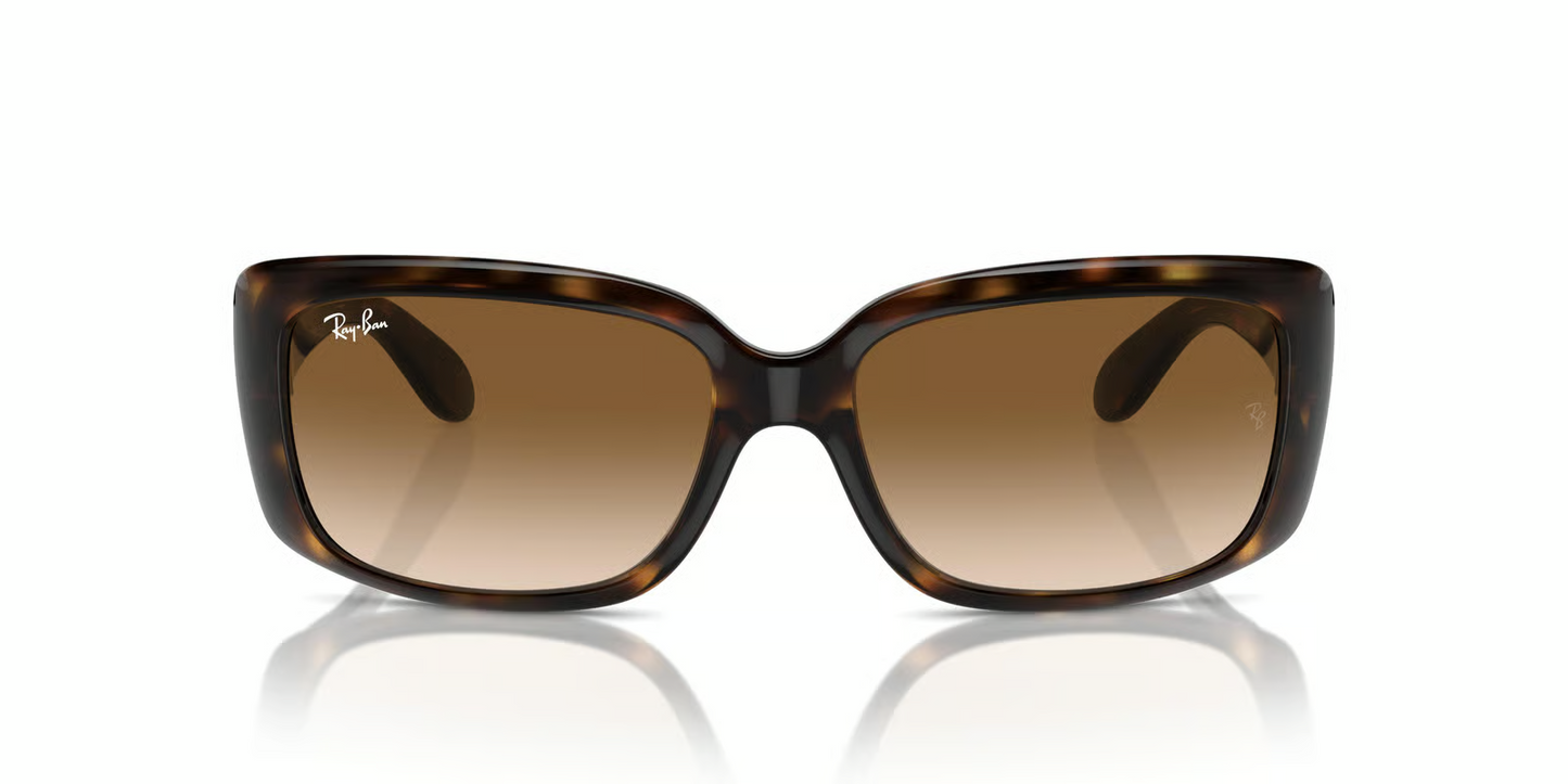 Ray-Ban RB4389 Sunglasses