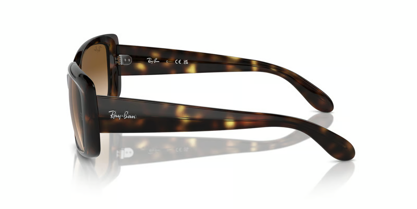 Ray-Ban RB4389 Sunglasses