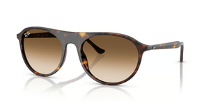 902/51 - Havana with Clear Gradient Brown Lenses