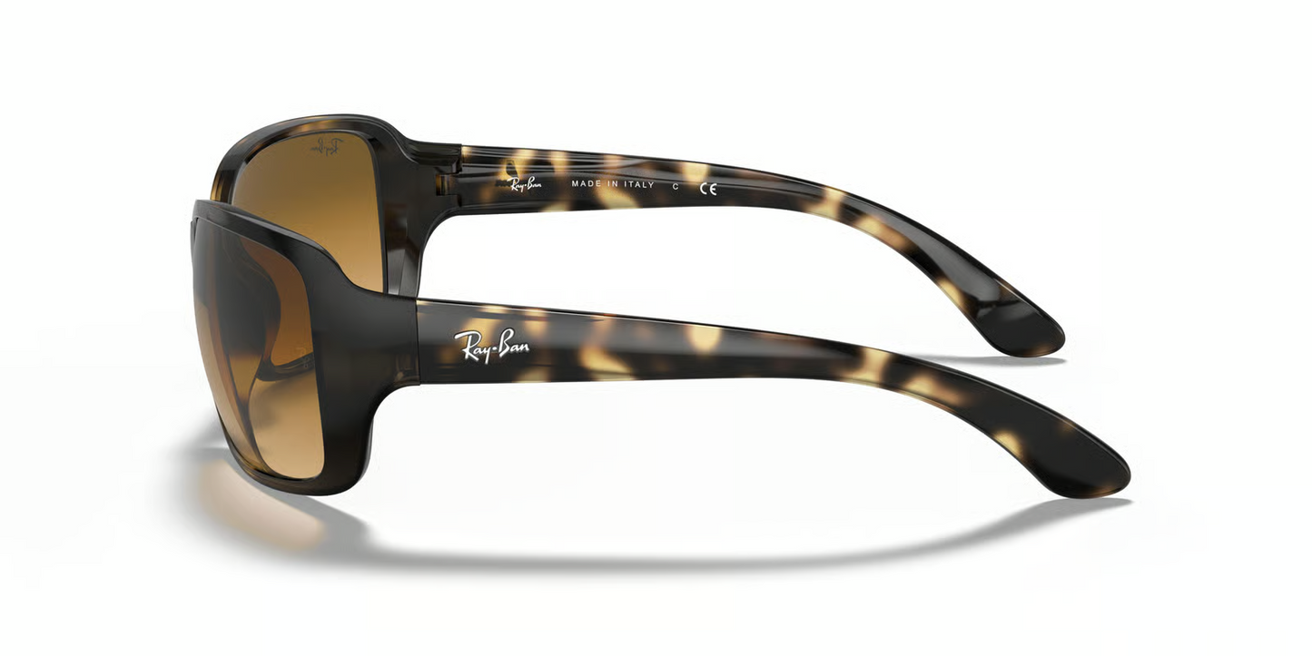 Ray-Ban RB4068 Sunglasses