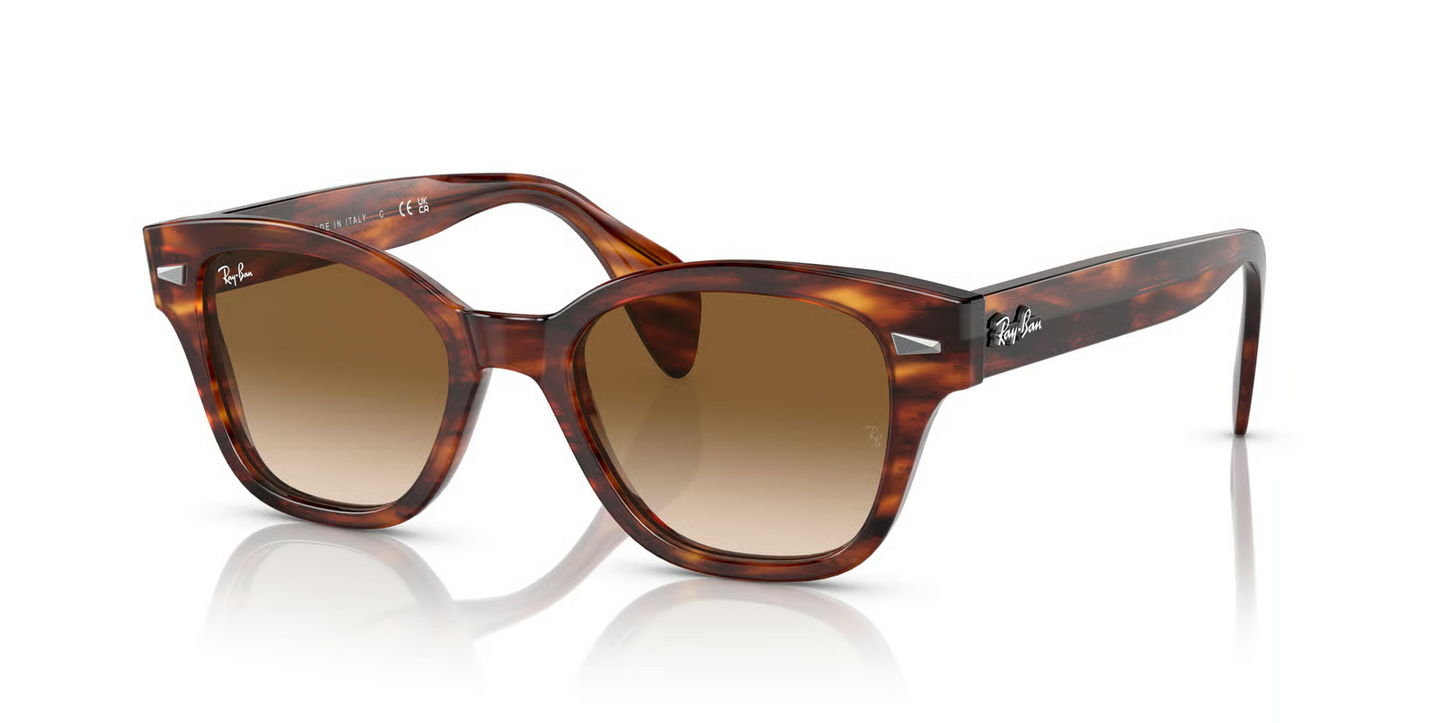 Ray-Ban RB0880S Sunglasses